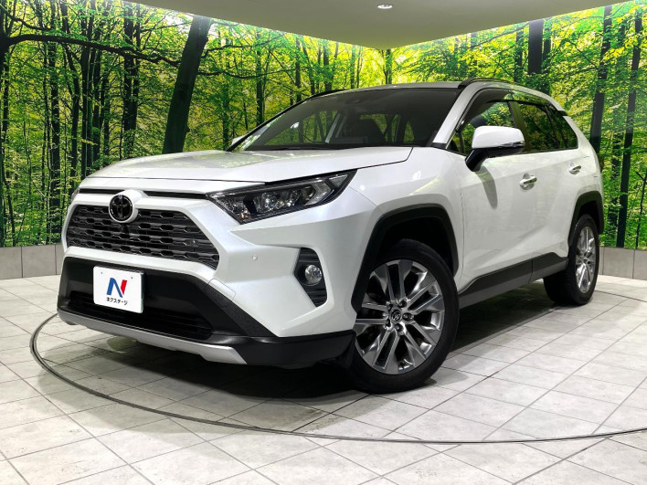 2021 Toyota RAV4 6BA-MXAA54 (UW-69f021d7479d5)[0]