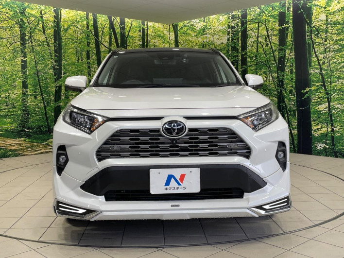 2022 Toyota RAV4 6BA-MXAA54 (UW-69f021d749061)[19]