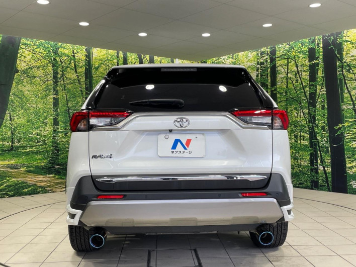 2022 Toyota RAV4 6BA-MXAA54 (UW-69f021d749061)[15]