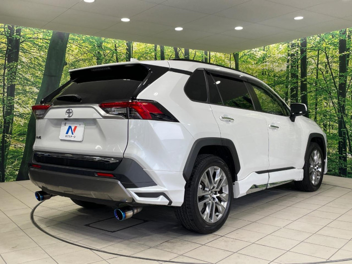 2022 Toyota RAV4 6BA-MXAA54 (UW-69f021d749061)[16]
