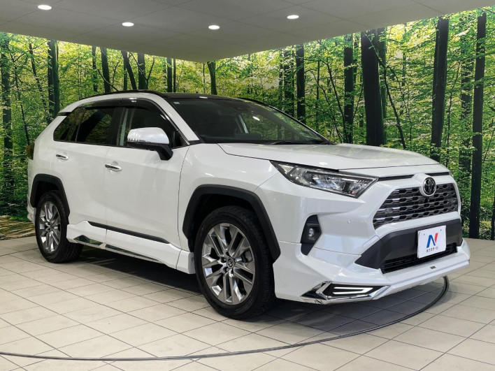2022 Toyota RAV4 6BA-MXAA54 (UW-69f021d749061)[18]