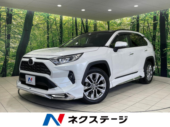 2022 Toyota RAV4 6BA-MXAA54 (UW-69f021d749061)[3]