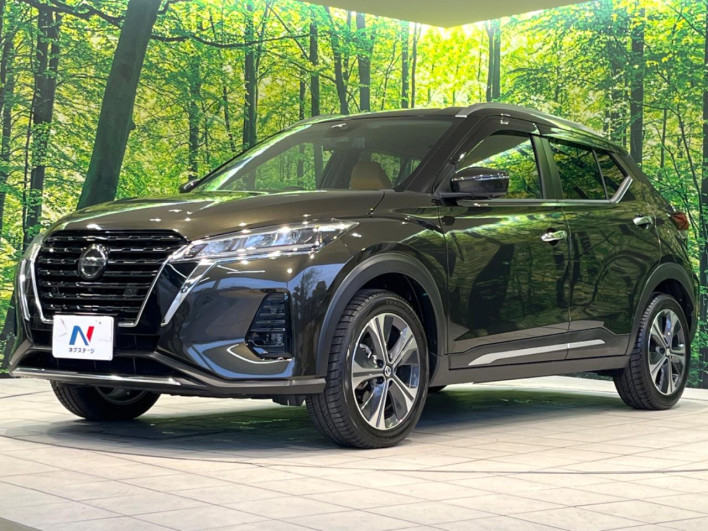 2020 Nissan Kicks 6AA-P15 (UW-69f021fc957f9)[11]