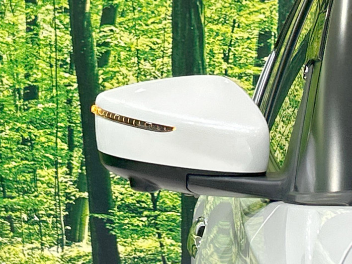 2021 Nissan Kicks 6AA-P15 (UW-69f021fd0c2d5)[17]