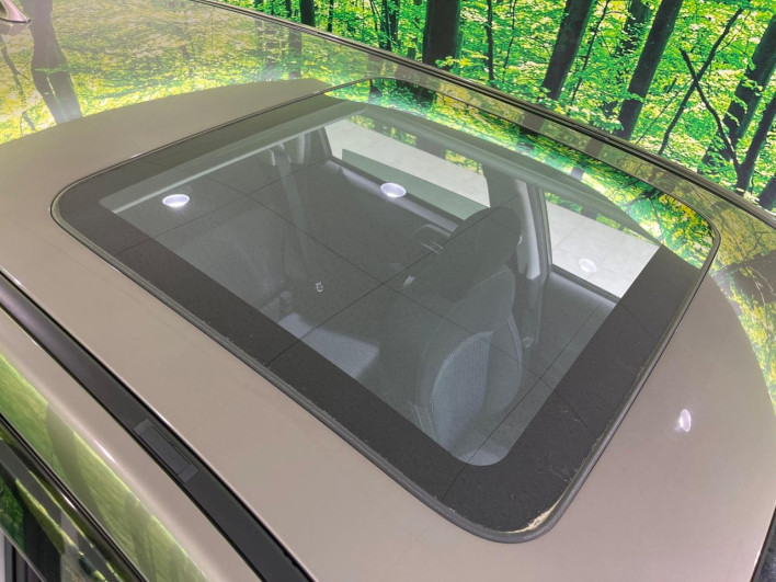 2017 Subaru Forester DBA-SJ5 (UW-69f0220f16597)[11]