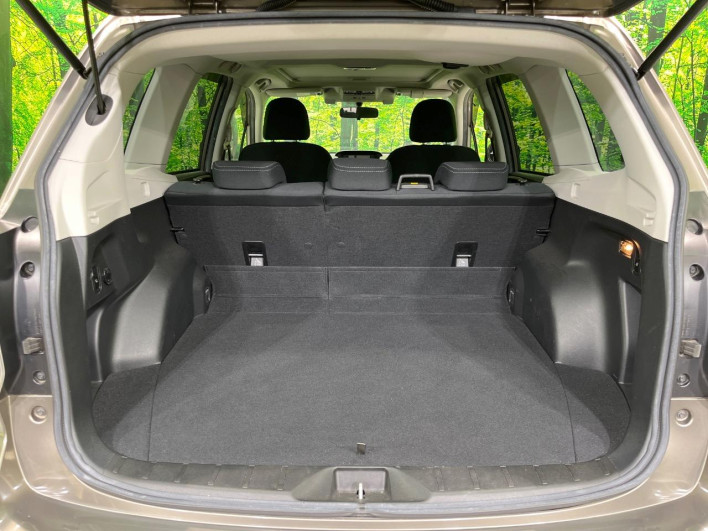 2017 Subaru Forester DBA-SJ5 (UW-69f0220f16597)[20]