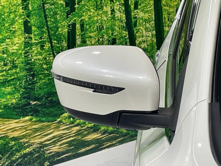 2019 Nissan X-Trail DBA-T32 (UW-69f02211e79de)[12]