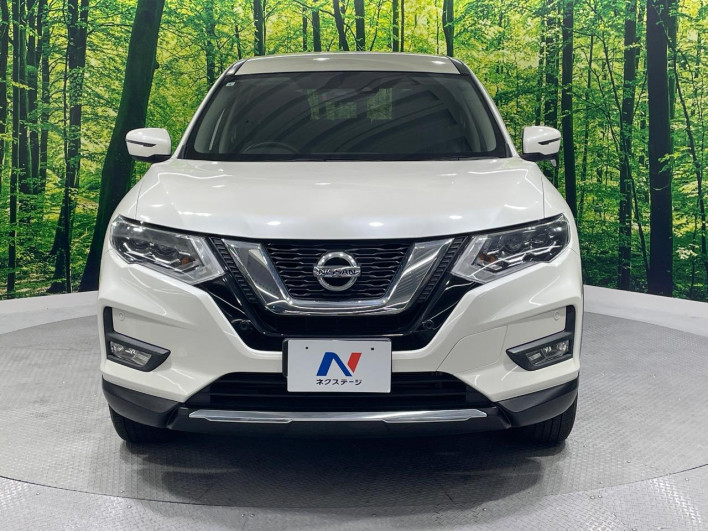 2019 Nissan X-Trail DBA-T32 (UW-69f02211e79de)[14]