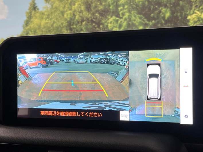 2025 Toyota Land Cruiser 250 3BA-TRJ250W (UW-69f0221624cff)[5]