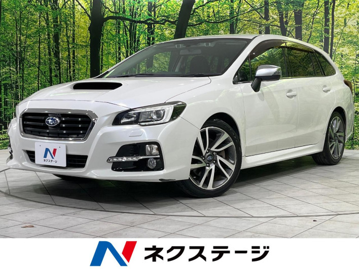 2015 Subaru Levorg DBA-VM4 (UW-69f02217a37c0)[3]