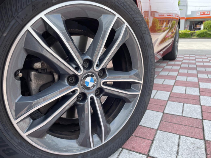 2019 BMW 2 Series LDA-2C20 (UW-69f0221c45a1c)[6]