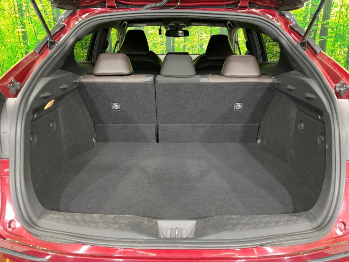 2018 Toyota C-HR DAA-ZYX10 (UW-69f0224b1fd1f)[17]