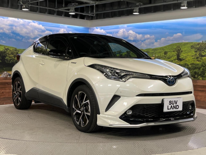 2019 Toyota C-HR DAA-ZYX10 (UW-69f0224b9c962)[19]