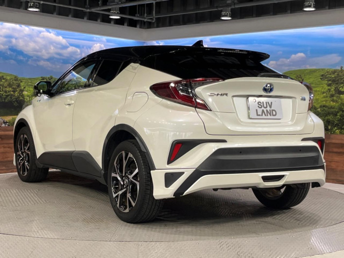 2019 Toyota C-HR DAA-ZYX10 (UW-69f0224b9c962)[23]