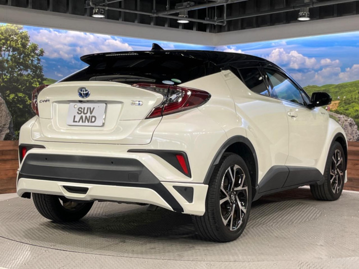 2019 Toyota C-HR DAA-ZYX10 (UW-69f0224b9c962)[21]