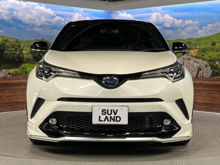 2019 Toyota C-HR DAA-ZYX10 (UW-69f0224b9c962)[18]