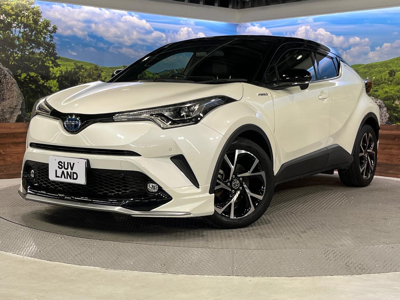 2019 Toyota C-HR DAA-ZYX10
