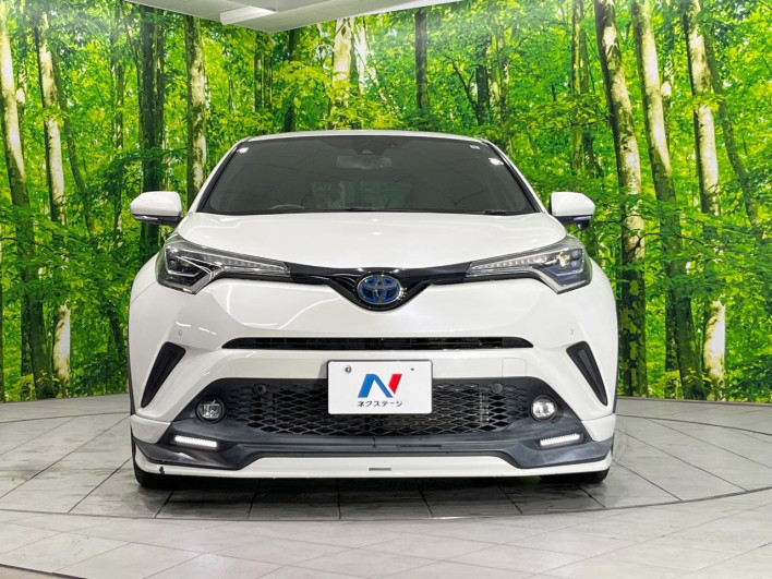 2019 Toyota C-HR DAA-ZYX10 (UW-69f0224bbb704)[11]
