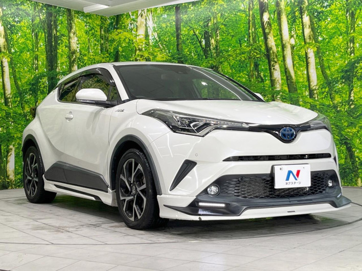 2019 Toyota C-HR DAA-ZYX10 (UW-69f0224bbb704)[10]