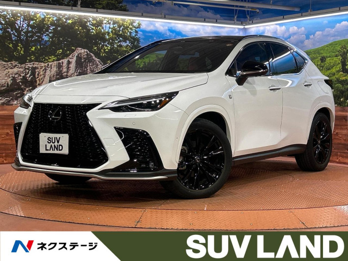 2023 Lexus NX 6AA-AAZH20 (UW-69f066623c608)[3]