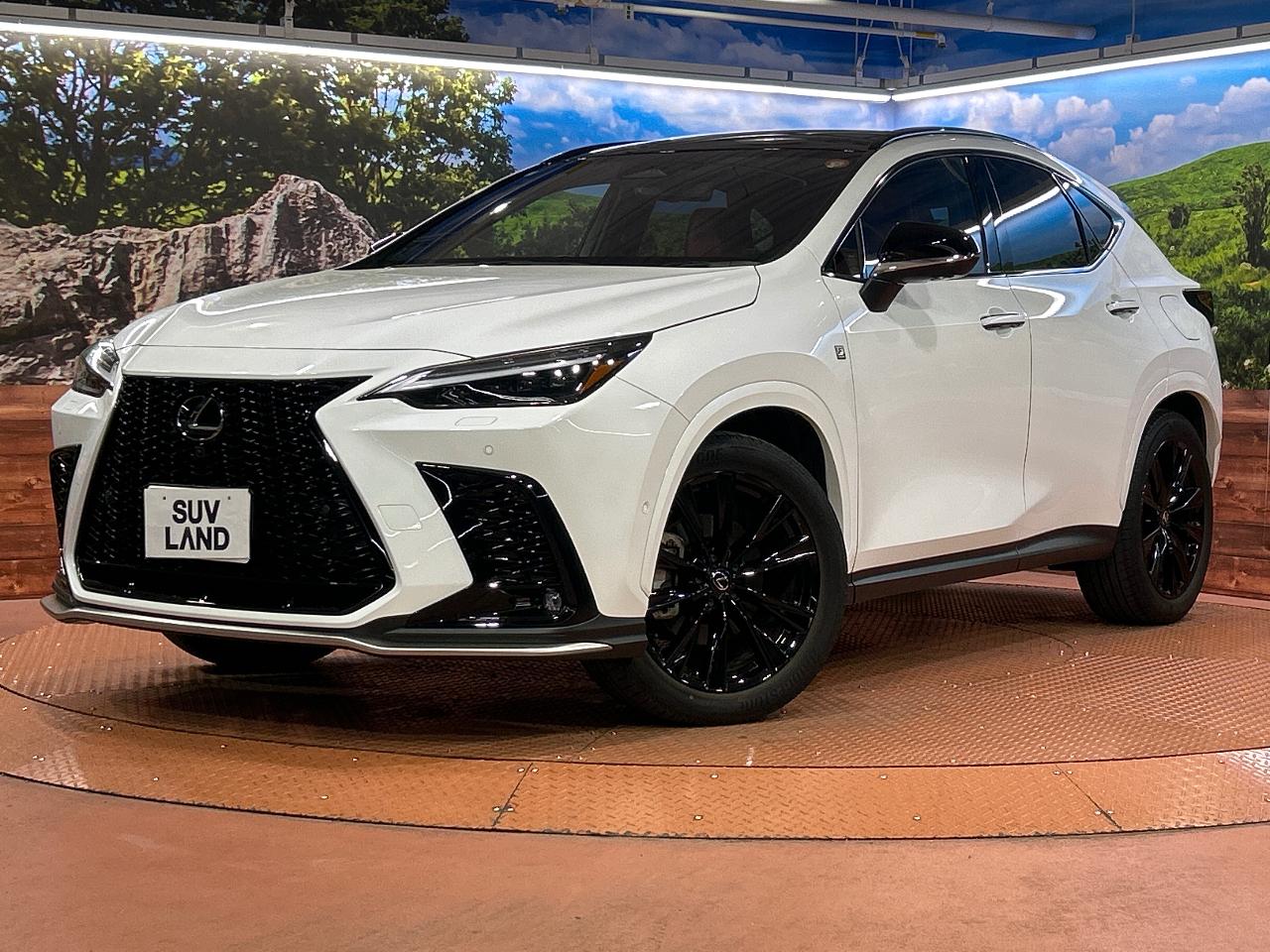 2023 Lexus NX 6AA-AAZH20