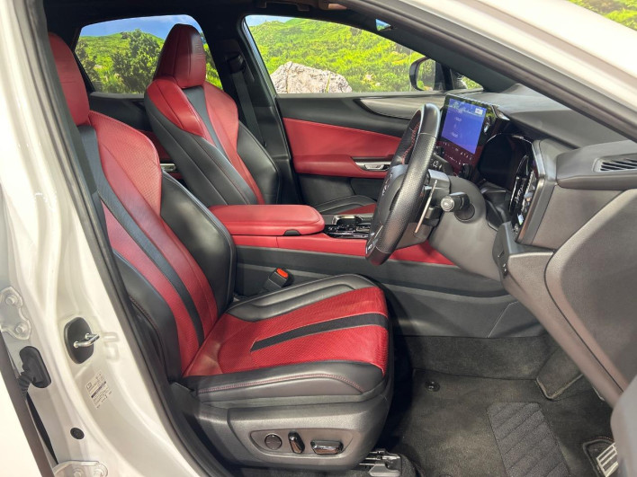 2023 Lexus NX 6AA-AAZH20 (UW-69f066623c608)[25]
