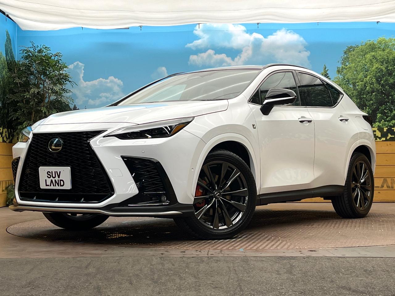 2025 Lexus NX 6AA-AAZH25