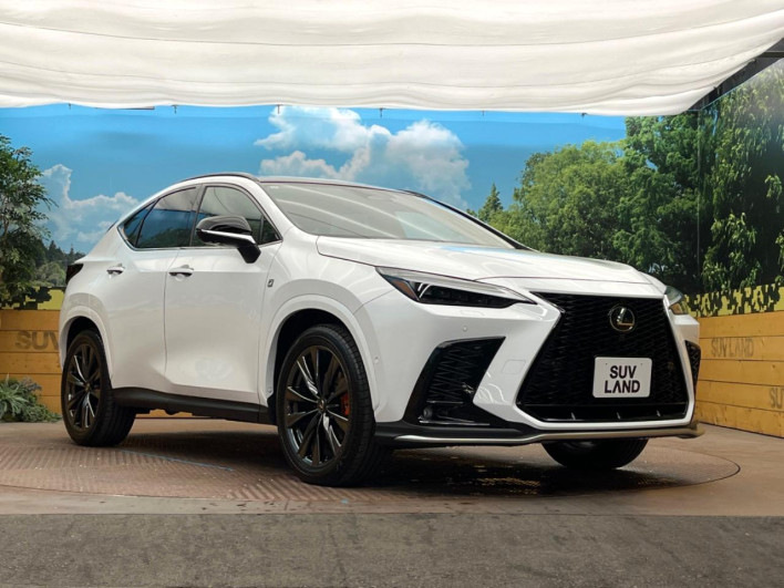 2025 Lexus NX 6AA-AAZH25 (UW-69f066625ee06)[19]
