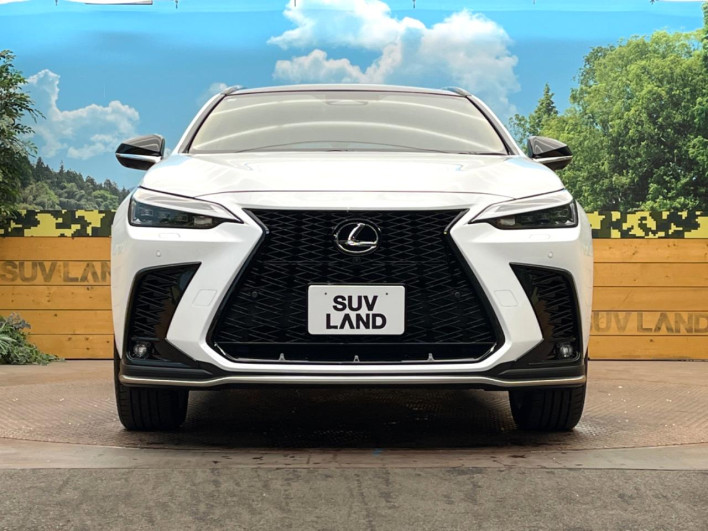 2025 Lexus NX 6AA-AAZH25 (UW-69f066625ee06)[18]