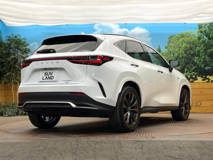 2025 Lexus NX 6AA-AAZH25 (UW-69f066625ee06)[21]
