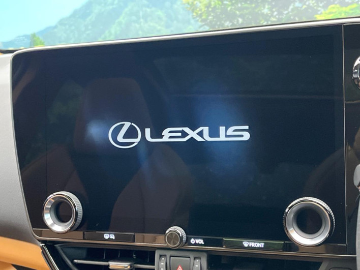 2025 Lexus NX 6AA-AAZH25 (UW-69f066625ee06)[12]