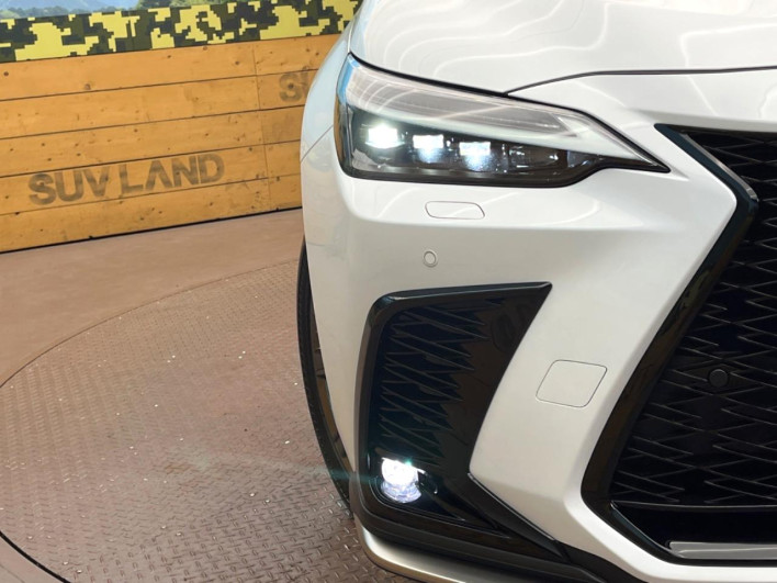 2025 Lexus NX 6AA-AAZH25 (UW-69f066625ee06)[16]