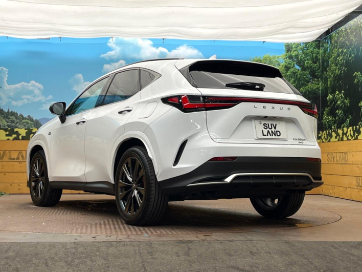 2025 Lexus NX 6AA-AAZH25 (UW-69f066625ee06)[23]