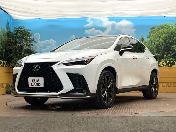2025 Lexus NX 6AA-AAZH25 (UW-69f066625ee06)[17]