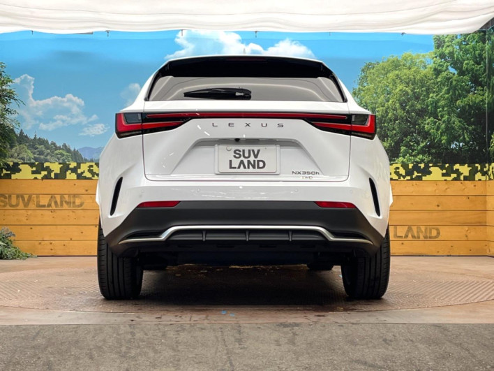 2025 Lexus NX 6AA-AAZH25 (UW-69f066625ee06)[22]