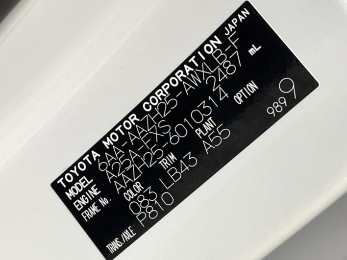 2025 Lexus NX 6AA-AAZH25 (UW-69f066625ee06)[1]