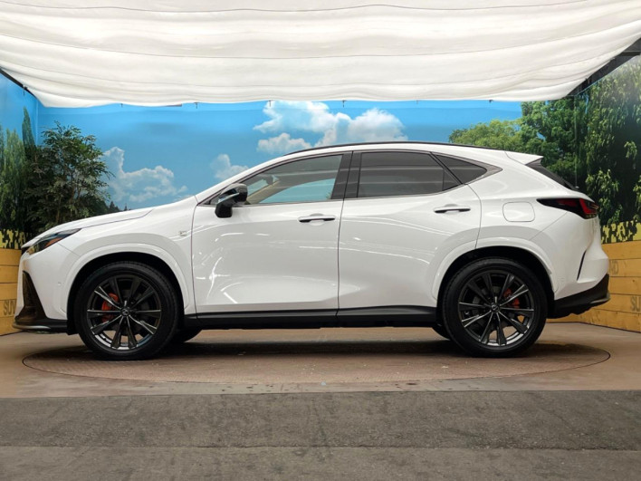 2025 Lexus NX 6AA-AAZH25 (UW-69f066625ee06)[24]