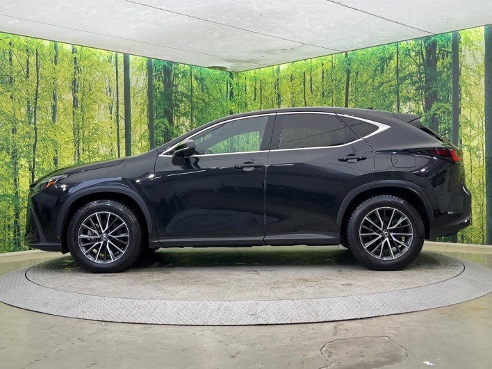 2023 Lexus NX 6AA-AAZH25 (UW-69f066628ded8)[14]