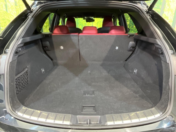 2023 Lexus NX 6AA-AAZH25 (UW-69f066628ded8)[21]