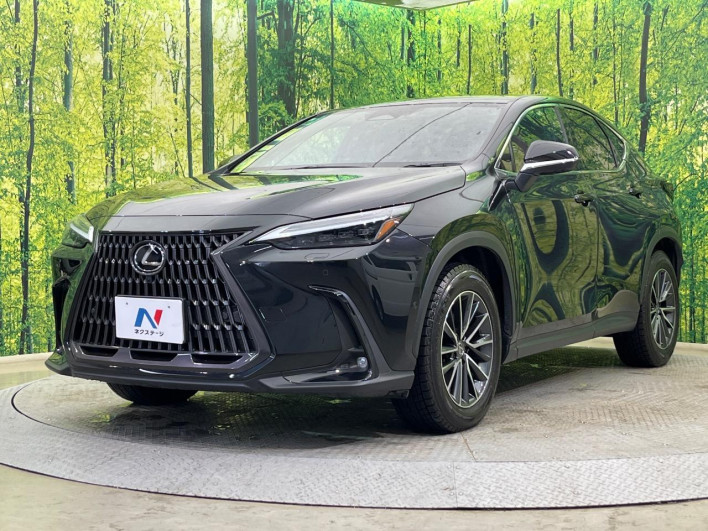 2023 Lexus NX 6AA-AAZH25 (UW-69f066628ded8)[13]