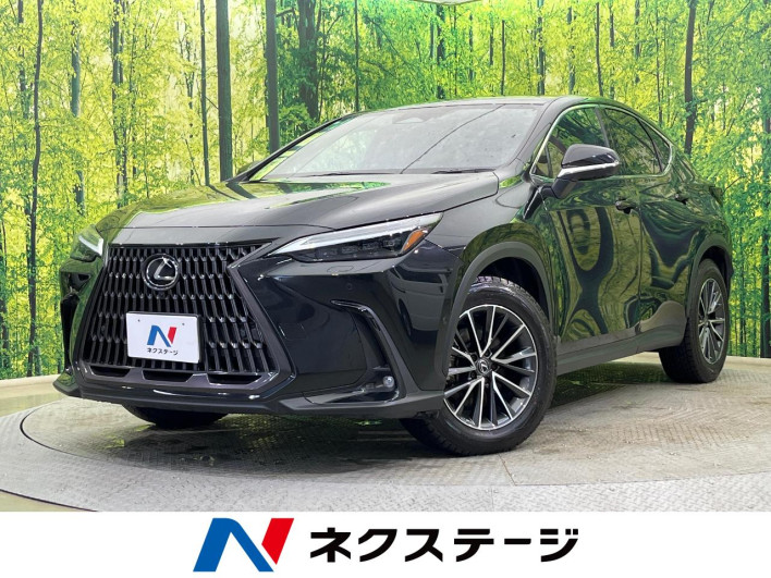 2023 Lexus NX 6AA-AAZH25 (UW-69f066628ded8)[3]