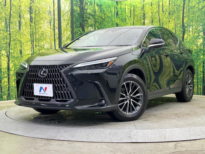 2023 Lexus NX 6AA-AAZH25 (UW-69f066628ded8)[0]