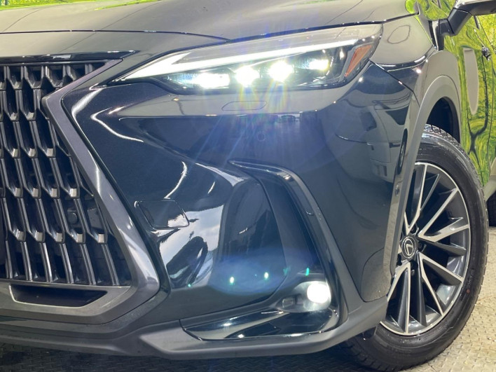 2023 Lexus NX 6AA-AAZH25 (UW-69f066628ded8)[8]
