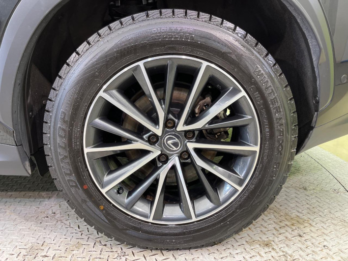 2023 Lexus NX 6AA-AAZH25 (UW-69f066628ded8)[10]