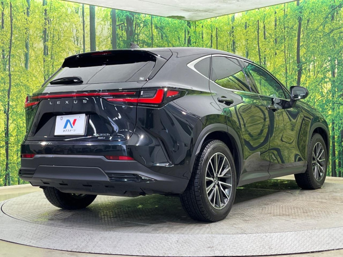 2023 Lexus NX 6AA-AAZH25 (UW-69f066628ded8)[17]