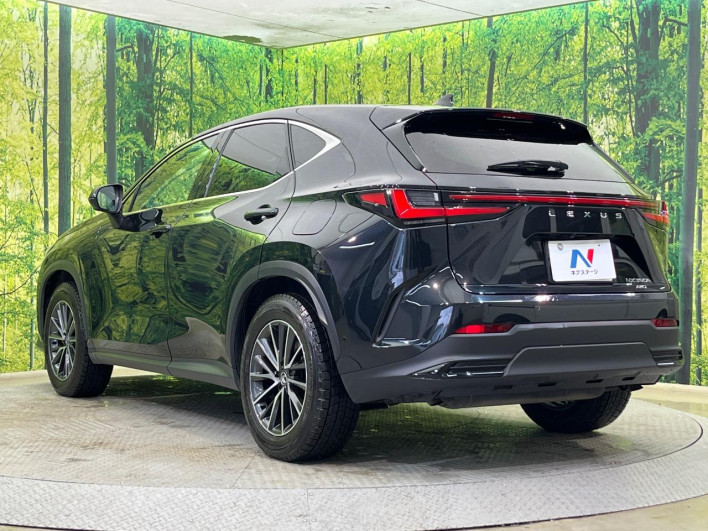 2023 Lexus NX 6AA-AAZH25 (UW-69f066628ded8)[15]