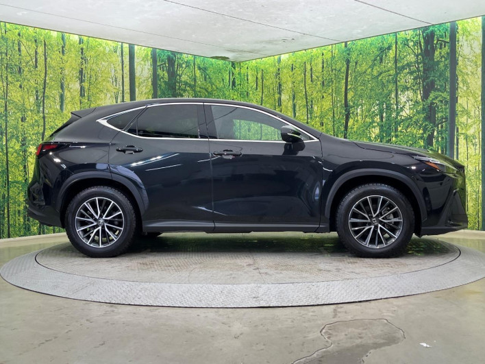 2023 Lexus NX 6AA-AAZH25 (UW-69f066628ded8)[18]