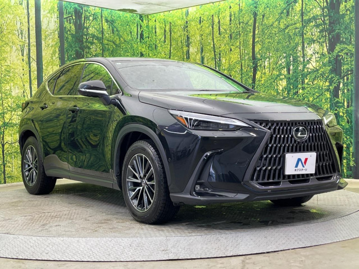 2023 Lexus NX 6AA-AAZH25 (UW-69f066628ded8)[19]