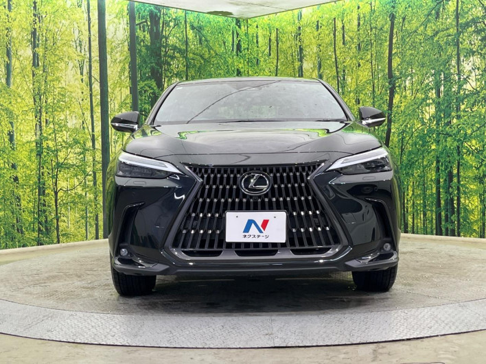 2023 Lexus NX 6AA-AAZH25 (UW-69f066628ded8)[20]