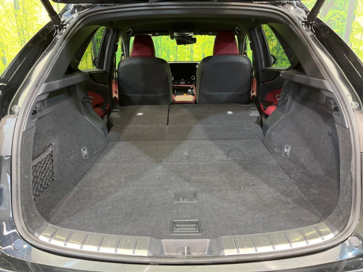 2023 Lexus NX 6AA-AAZH25 (UW-69f066628ded8)[23]